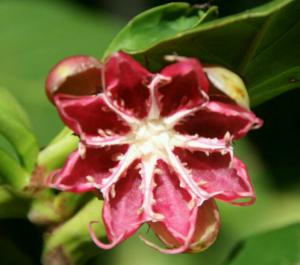 rps20131023_041809_451