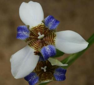 rps20131023_041944_245