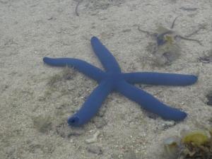 rps20131027_023922_692