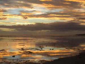 rps20131027_024559_472