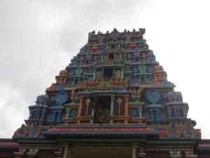 rps20131103_103707_972