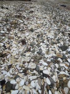 rps20131105_100203_894