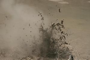 rps20131105_111327_928