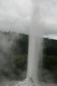 rps20131105_111513_539