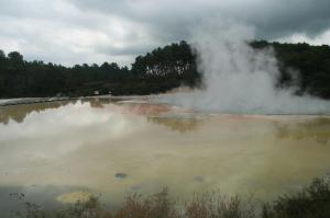 rps20131105_111553_863