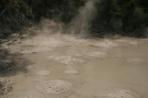 rps20131105_111827_628