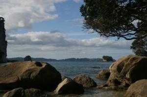 rps20131105_112631_682