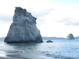 rps20131106_085920_528