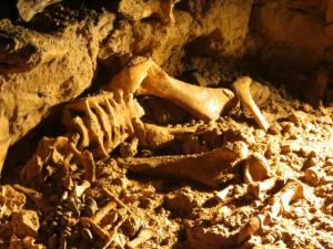 rps20131107_223955_876