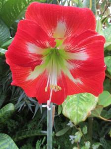 rps20131108_110252_528