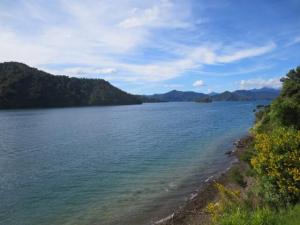 rps20131109_100108_336