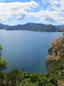 rps20131109_100725_994