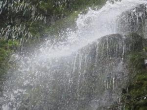 rps20131109_105318_391