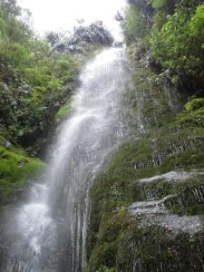 rps20131109_105448_578