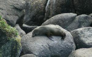 rps20131112_111717_775