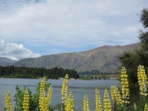 rps20131115_112453_392