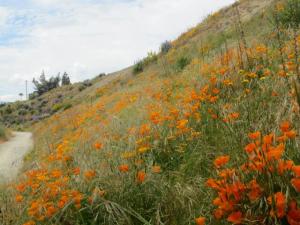 rps20131115_112913_384