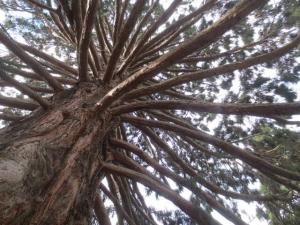 rps20131117_132502_913