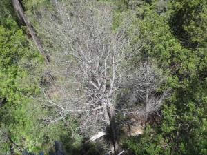 rps20131203_123141_911