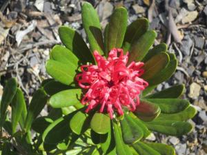 rps20131203_123205_799