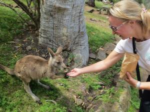 rps20131205_080244_731