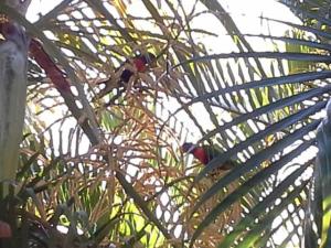 rps20131206_131806_871