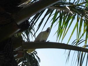 rps20131206_131827_189