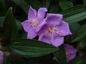 rps20131209_141233_197