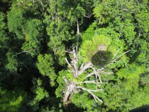 rps20131209_141423_638