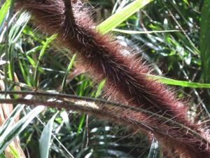 rps20131209_141635_222