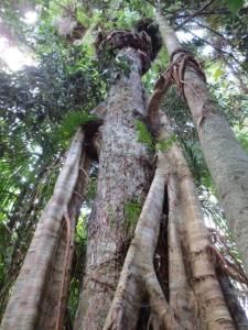 rps20131209_141705_791