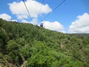 rps20131209_142125_685