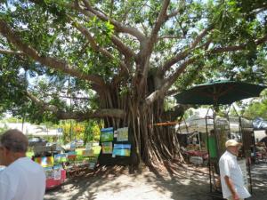 rps20131210_131753_296