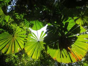 rps20131210_132443_472