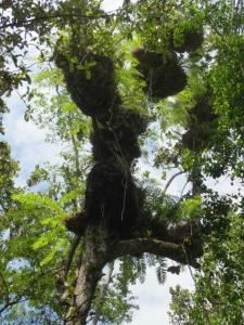 rps20131210_132512_538