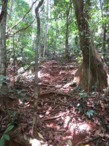 rps20131210_132801_993