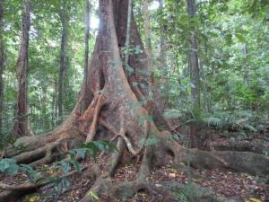 rps20131210_132946_404