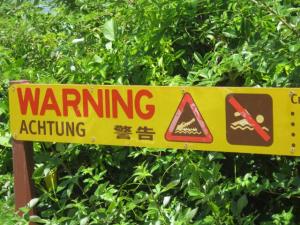 rps20131213_072936_646