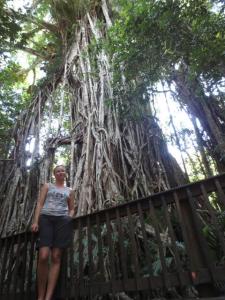 rps20131213_135833_306