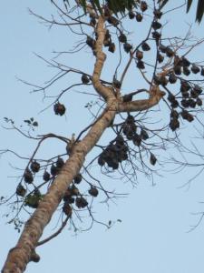 rps20131213_140236_452