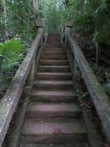 rps20131213_140428_596