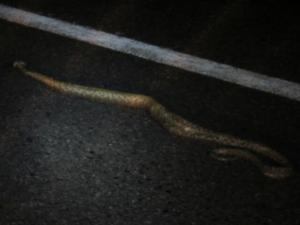 rps20131214_080057_431