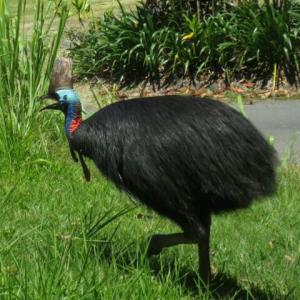 rps20131214_080400_705