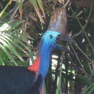 rps20131214_080500_774