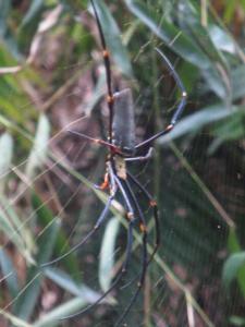 rps20131214_080803_907