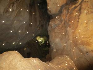 rps20131216_122707_791