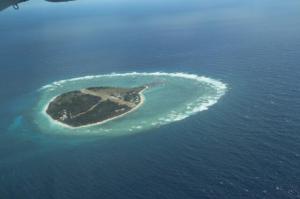 rps20131222_082553_607