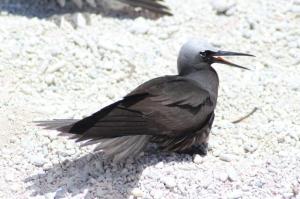 rps20131222_082754_735