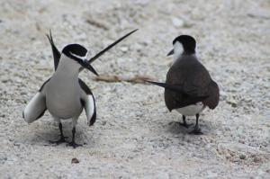 rps20131222_083019_210