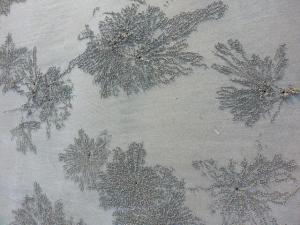 rps20131226_002730_395